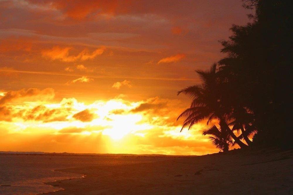 Rarotonga Beach Bungalows Dış mekan fotoğraf