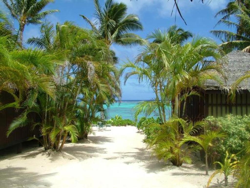 Rarotonga Beach Bungalows Oda fotoğraf